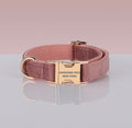 PAWSOME DOG COLLAR - #14-0